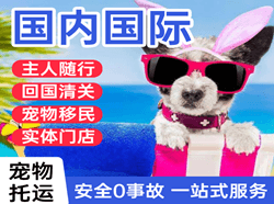 岳阳三荷空运国际宠物托运 【国